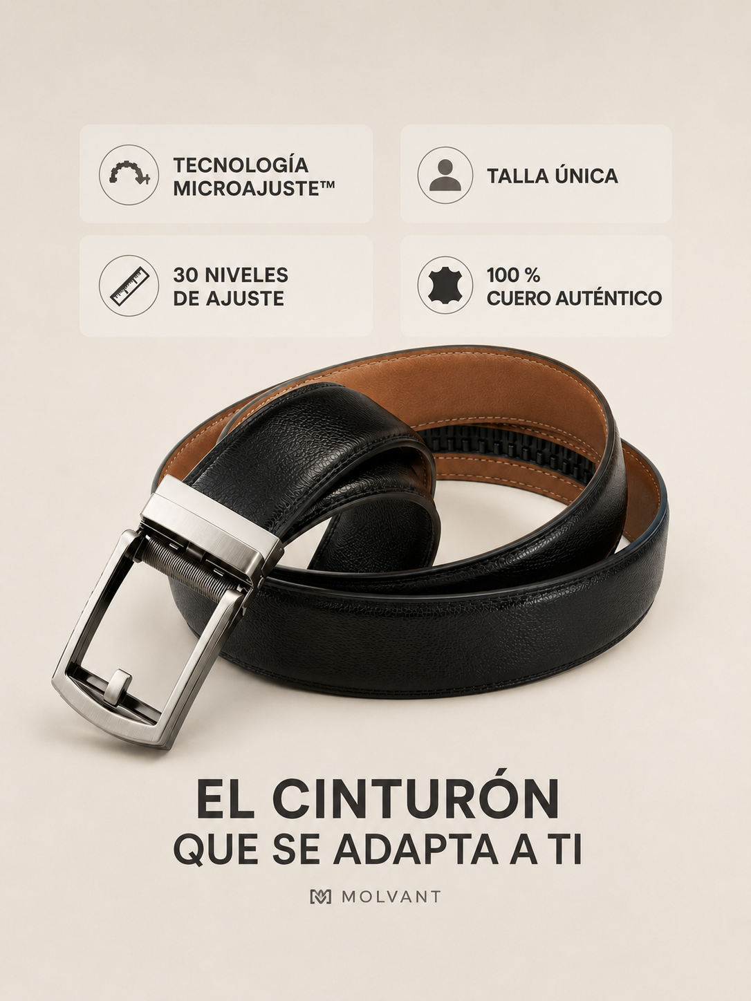 Cinturon Molvant